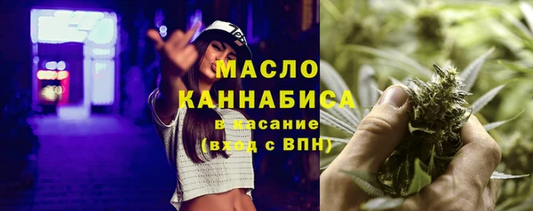 амф Верхний Тагил