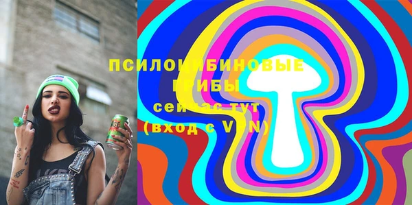 амф Верхний Тагил